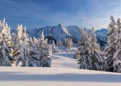 Walliser_Alpen_VS_Winter_2018